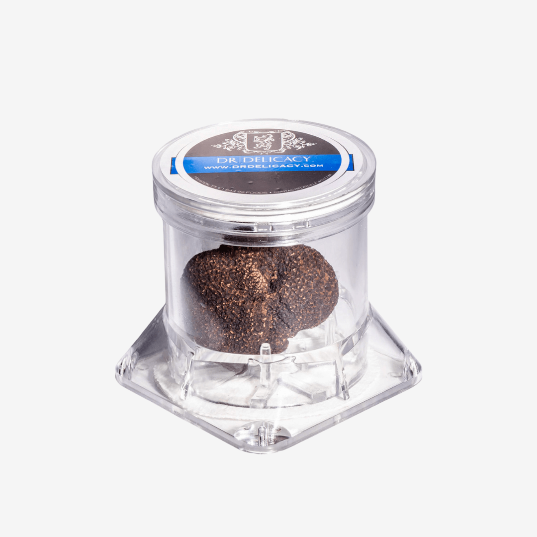 Truffle Storage Container - DR Delicacy