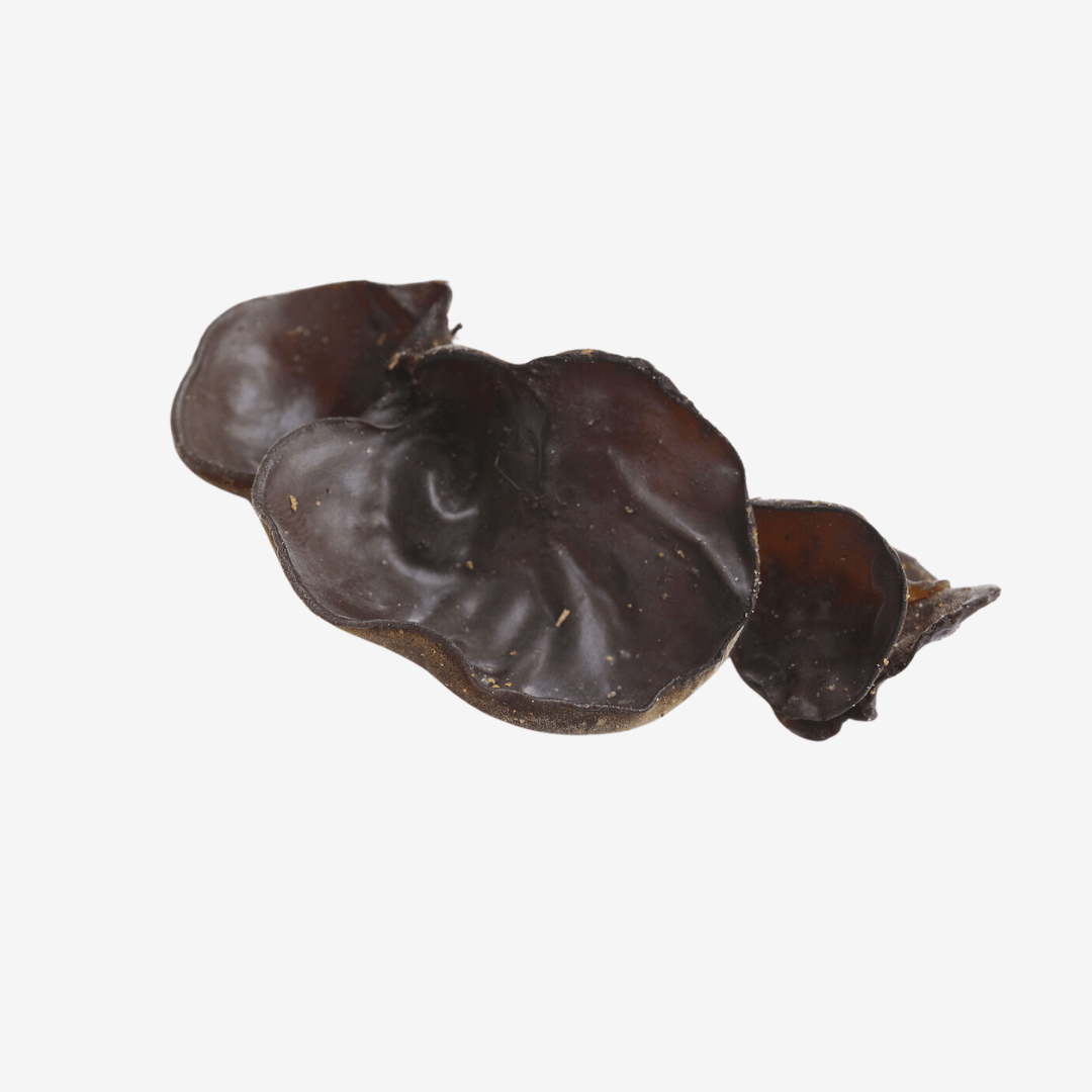 Fresh Woodear Mushroom - DR Delicacy