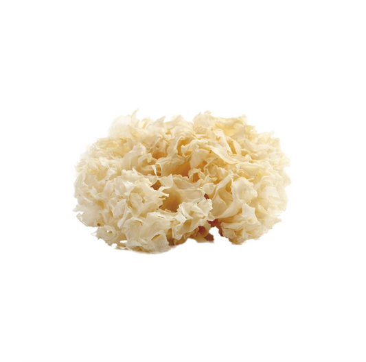 Cauliflower Mushroom