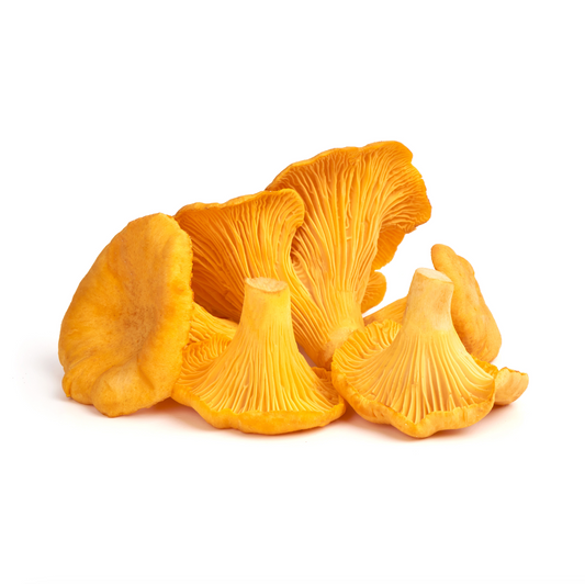 Chanterelle