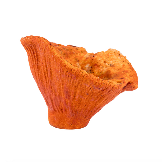 Lobster Mushroom