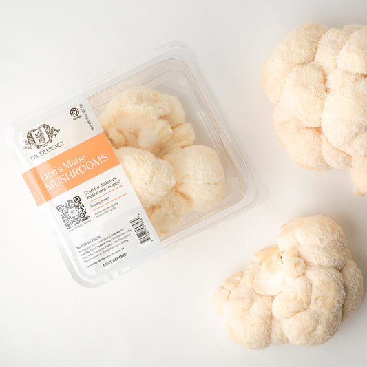 Fresh Lion's Mane Mushrooms - DR Delicacy