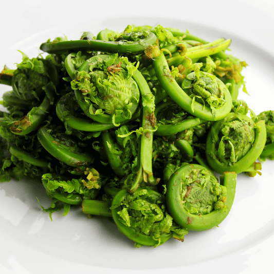 Fresh Fiddleheads piled high on a white plate, showcasing their vibrant green color and curled shape.