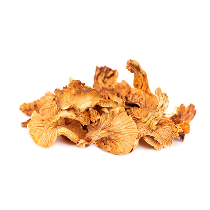 Dried Chanterelle Mushrooms