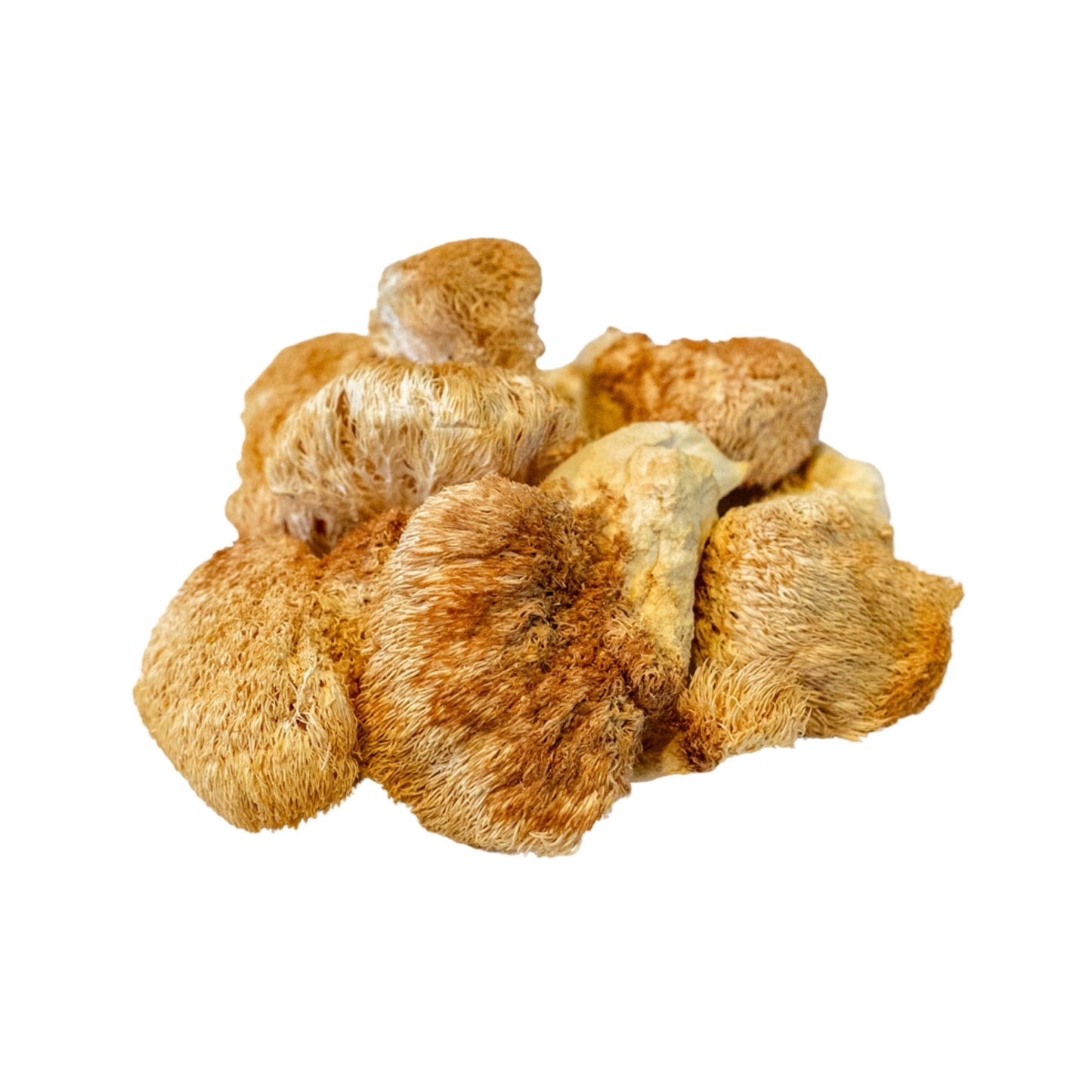 Dried Lion's Mane Mushrooms