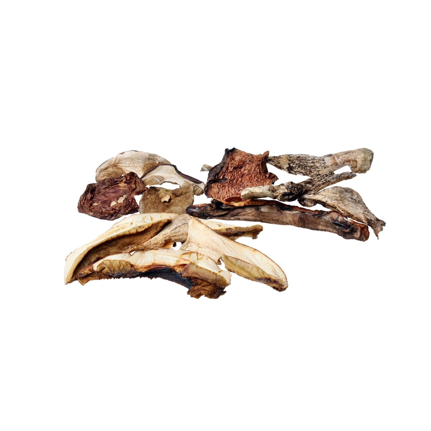 Dried Mushroom Mix