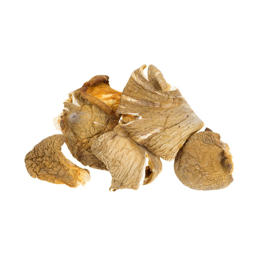 Dried Oyster Mushrooms