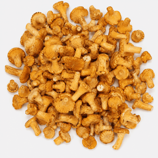 Mini Button Chanterelle mushrooms, hand-foraged with a rich earthy flavor, perfect for gourmet dishes.