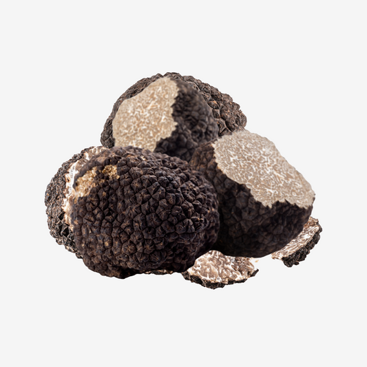 Fresh Black Autumn Truffle - DR Delicacy