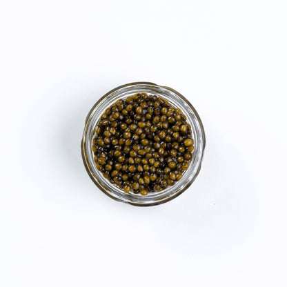 Osetra Amber Caviar - DR Delicacy