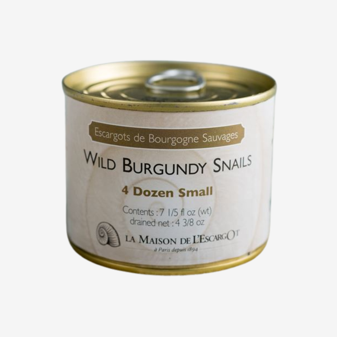 Small Wild Burgundy Escargot