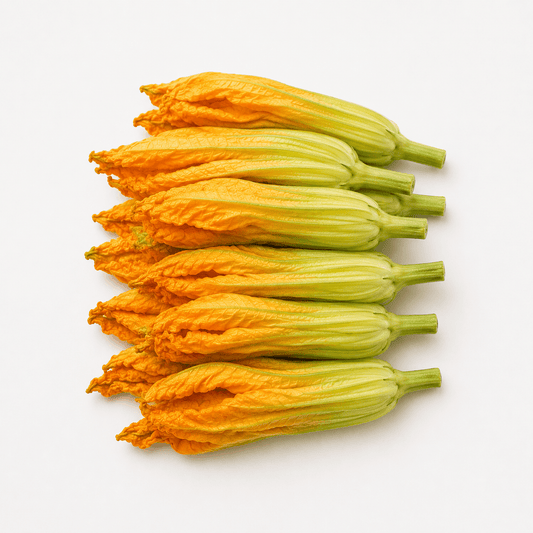 Fresh Zucchini Squash Blossom flowers arranged in a row on a white background.