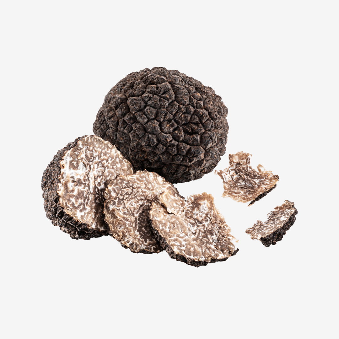 Fresh Black Winter Truffle - DR Delicacy