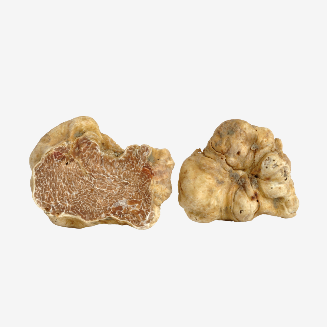 Fresh White Winter Truffle - DR Delicacy