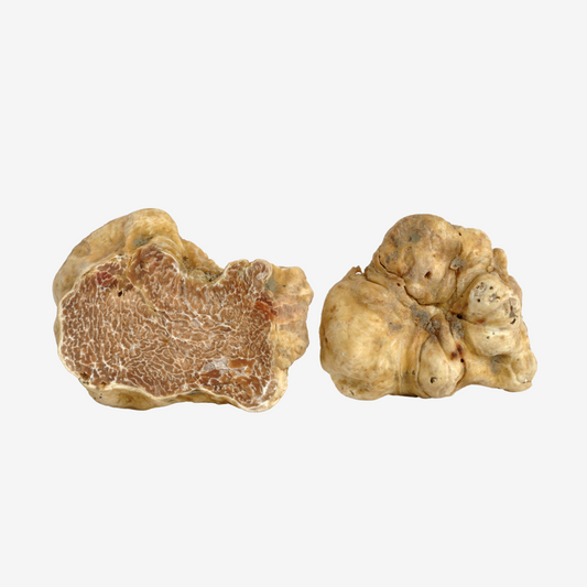 Fresh White Winter Truffle - DR Delicacy